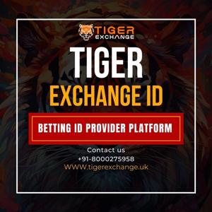 Secure Your Online Identity with Tiger E