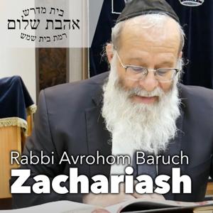 Ahavas Shalom Shiurim