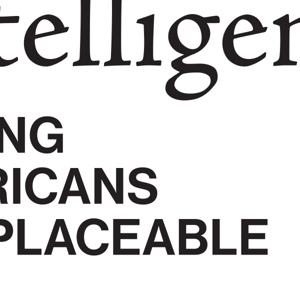 Working Intelligence: The AI Optimism Project