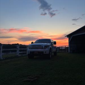 What the Truck?