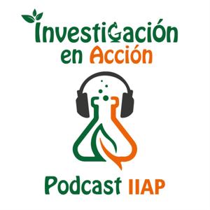 Investigación en Acción