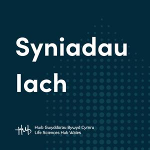 Syniadau Iach