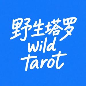 野生塔罗