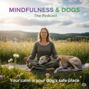 Mindfulness & Dogs