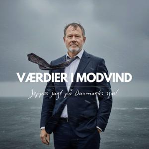 Værdier i modvind