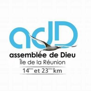 La marche chrétienne - Éphésiens en 5 séries