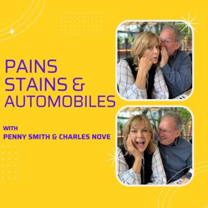 Pains Stains & Automobiles