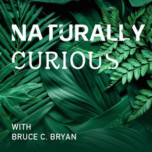Naturally Curious
