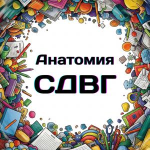 Глубокое погружение: Анатомия СДВГ