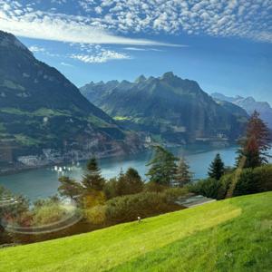 تفسير القرآن الكريم - الشيخ محمد إسماعيل المقدم