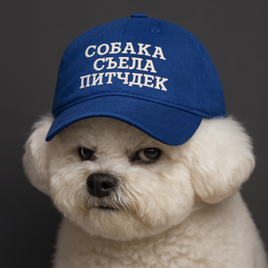 Собака съела питчдек