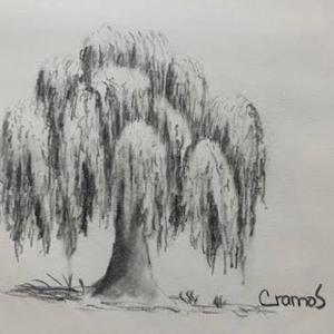 Mitos y verdades por descubrir