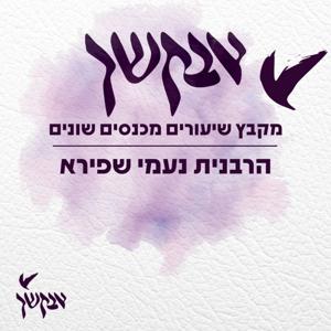 אבקשך | מקבץ שיעורים מכנסים שונים | הרבנית נעמי שפירא