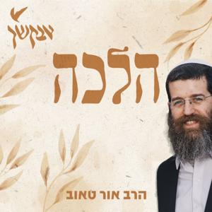 הלכה עם הרב אור טאוב