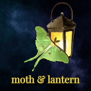 Moth & Lantern