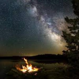 Fall Asleep with the Book of Mormon