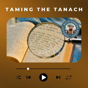 Taming the Tanach