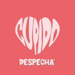 CUPIDO DESPECHA'