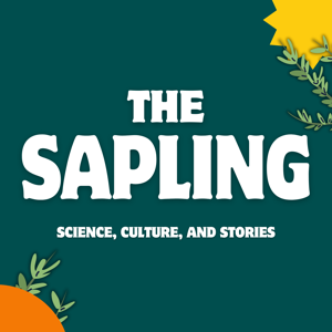 The Sapling