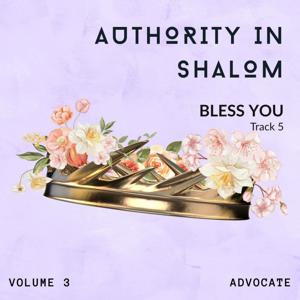 Atmospheres of Shalom: Vol. 3 – Authority in Shalom - Track 5: Bless You