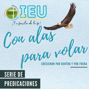 Con alas para volar: creciendo por dentro y por fuera.