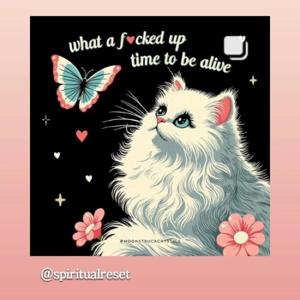 Weird Phat Girl's show