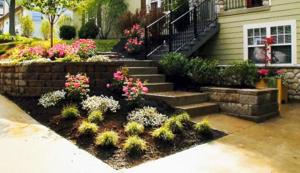 Landscaping Ideas