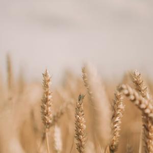 Que le pasa a Javier?