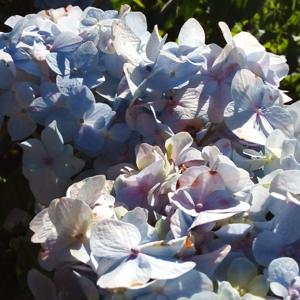 "Mi Vida, Mis Historias"