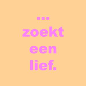 ... zoekt een lief.