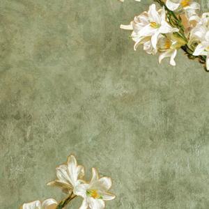 The diamond necklace