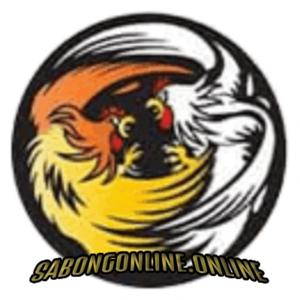 Sabong Online – Where Tradition Meets Modern Betting Excitement