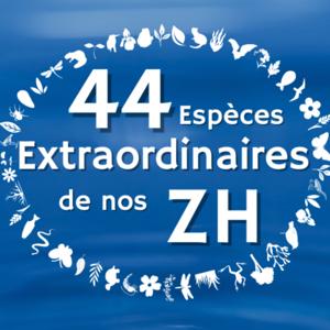 44 Espèces Extraordinaires de nos Zones Humides