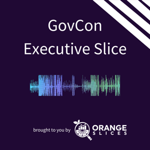 GovCon Executive Slice