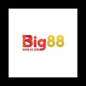 BIG88