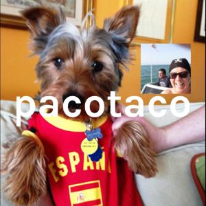 pacotaco