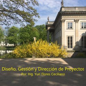 Diseño, Gestión y Dirección de Proyectos