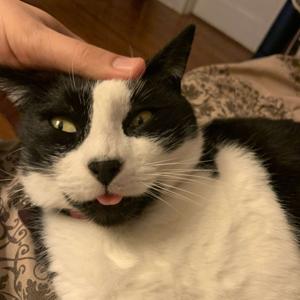 Partial Effort Podcast