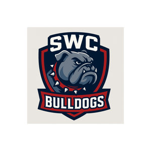 SWC IB Economics HL Review