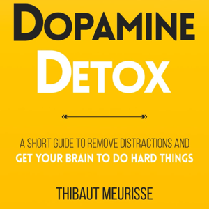 Dopamine Detox by Thibaut Meurisse, Book Summary, Podcast, English by Raghvendra Singh