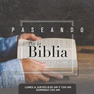 Paseando por la biblia
