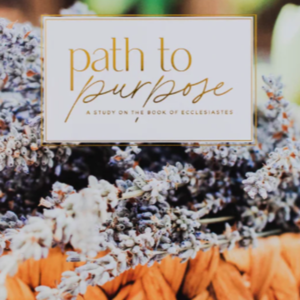 Path To Purpose - A Study of Ecclesiastes