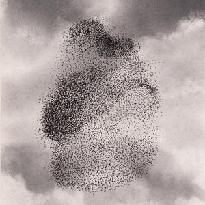 Een zwerm spreeuwen - een mozaïekvertelling