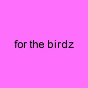 For The Birdz