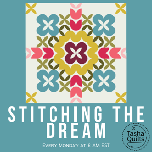 Stitching the Dream