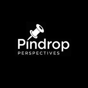 Pindrop Perspectives