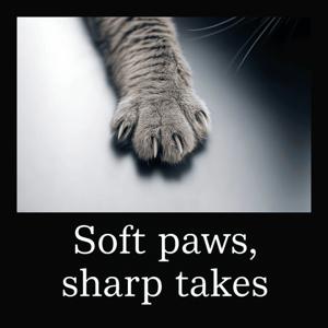 The Velvet Funnel: Local Power, Global Play