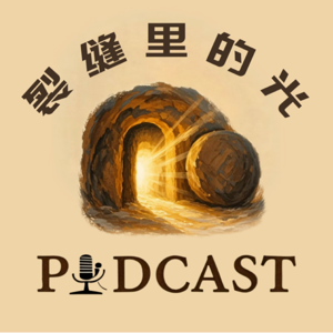 裂缝里的光