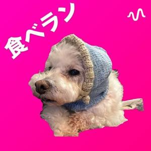 食べて走って飲んだくれ【食べラン】