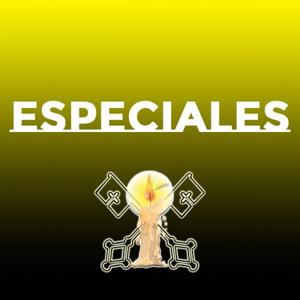 Especiales Luz Católica